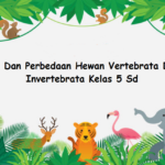 Ciri Dan Perbedaan Hewan Vertebrata Dan Invertebrata Kelas 5 Sd