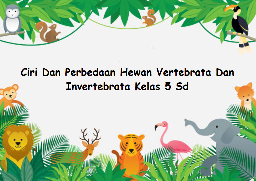 Ciri Dan Perbedaan Hewan Vertebrata Dan Invertebrata Kelas 5 Sd