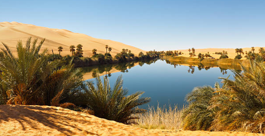 Drainase Sahara Drainase Sahara