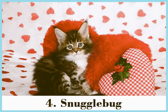 4. Snugglebug