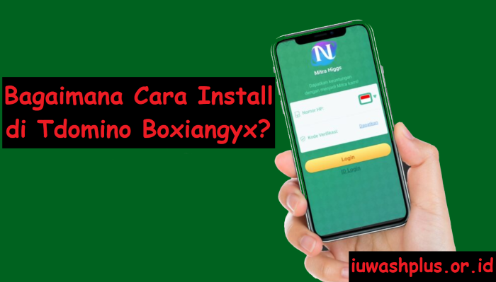 Bagaimana Cara Install di Tdomino Boxiangyx