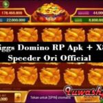Download Higgs Domino RP Apk + X8 Speeder Ori Official