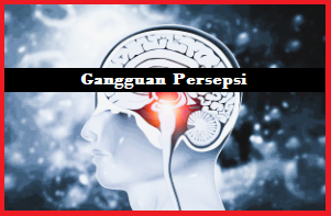 Gangguan Persepsi Gangguan Persepsi