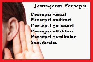 Jenis-jenis Persepsi Jenis-jenis Persepsi