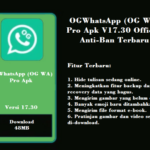 OGWhatsApp (OG WA) Pro Apk V17.30 Official Anti-Ban Terbaru