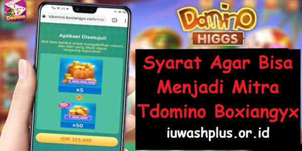 Syarat Agar Bisa Menjadi Mitra Tdomino Boxiangyx