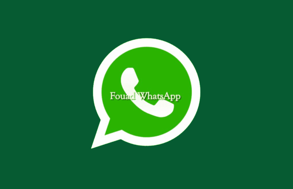 7. Fouad Whatsapp