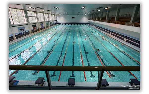 10. Bina Taruna Swim Club 10. Bina Taruna Swim Club