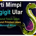 7 Arti Mimpi Digigit Ular Menurut Islam dan Primbon, Tanda Buruk