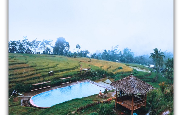 9. Kolam Renang Tengah Sawah Purwokerto