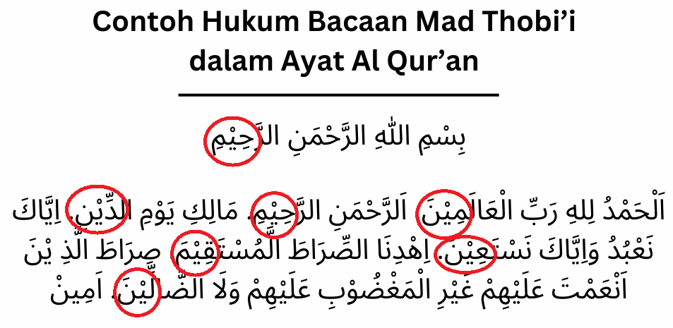 Contoh Hukum Bacaan Mad Thobi’i dalam Ayat Al Qur’an