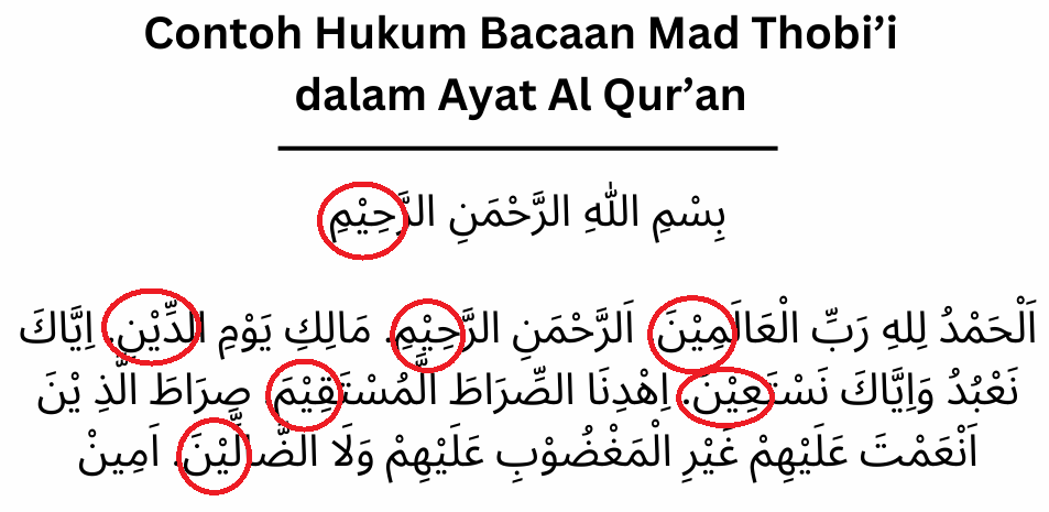 Contoh Hukum Bacaan Mad Thobi’i dalam Ayat Al Qur’an Contoh Hukum Bacaan Mad Thobi’i dalam Ayat Al Qur’an