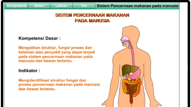 Proses Pencernaan Makanan Pada Manusia