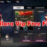 bellara-vip-apk