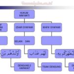 3 Hukum Mim Mati Dalam Ilmu Tajwid Beserta Contohnya