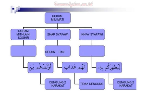 3 Hukum Mim Mati Dalam Ilmu Tajwid Beserta Contohnya