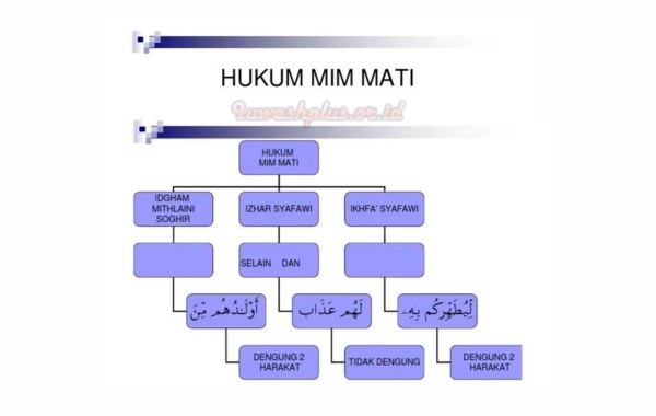 Macam Jenis Hukum Mim Mati Dalam Tajwid