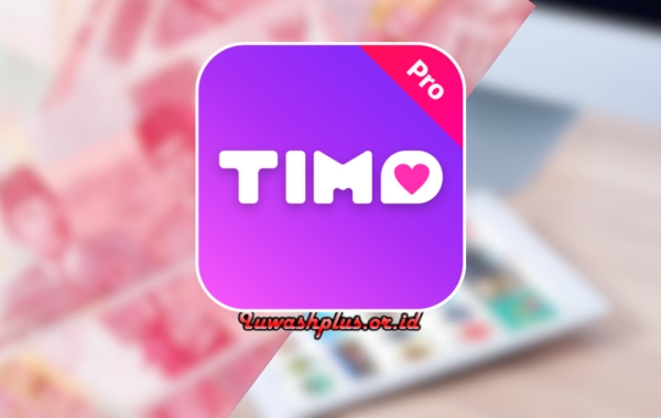 3. Timo APK